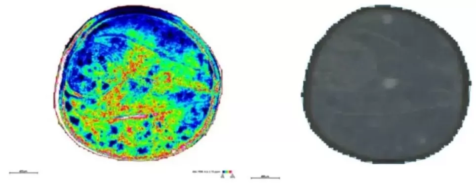 Spatial distribution and segmentation mapping of metabolites m/z 464.1908 at 10 μm resolution